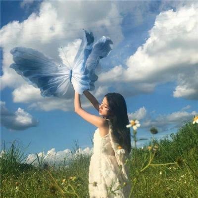 探索白蚁密室